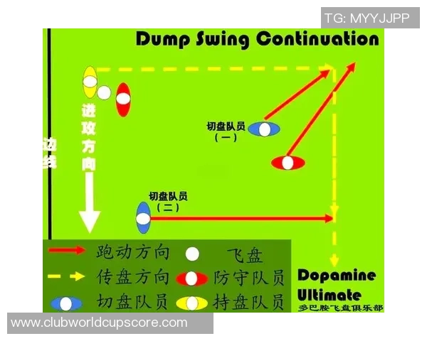 南京飞盘队区域防守战术解析与实战应用探讨