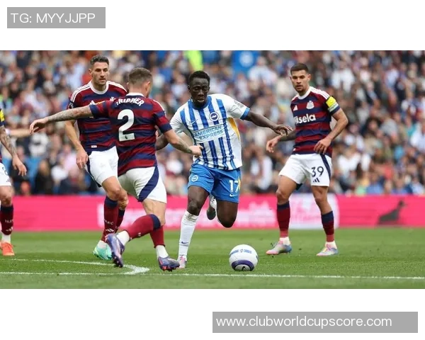 布莱顿与狼队英超对决前瞻分析及比赛预测